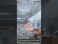 Vacuum Sealer Machine DZ 500 Test Video Food Packing mp3