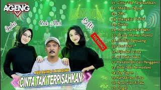 Duo Ageng Full Album - Cinta Tak Terpisahkan - Madiun Ngawi - Jika - Mengejar Badai - Dinda