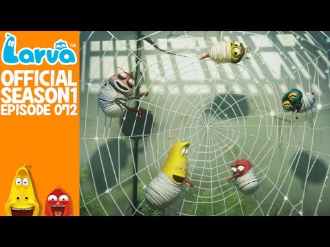 [official]-spider---larva-season-1-episode-72