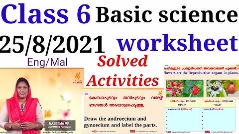 Class 6 Basic Science Worksheet 25/8/21| STD 6 Basic Science Worksheet 25/8/21|Activities|@educutz131