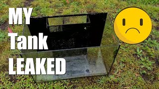 видео: КАТАСТРОФА | Мой стеклянный аквариум протек картинка: КАТАСТРОФА | Мой стеклянный аквариум протек