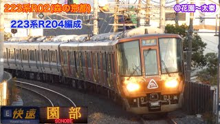 【JR西日本】223系R02＋R204編成　E快速園部行き