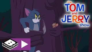 Die Tom & Jerry Show Magischer Schrecken Cartoonito