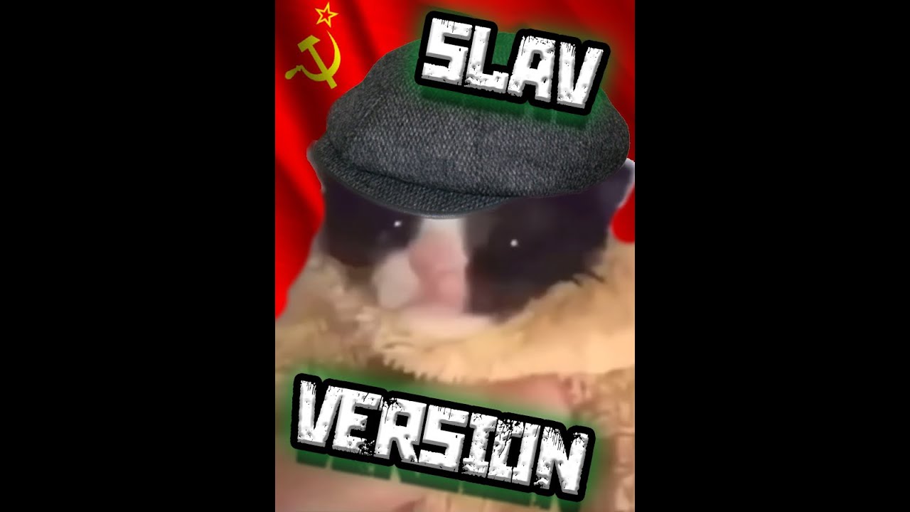 Angry Asian Man Yells At Kitten Meme (Slav Version) (Shitpost Status)