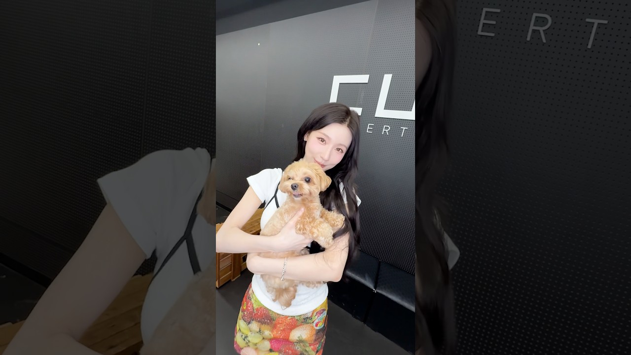 Pouuuuu 🐶