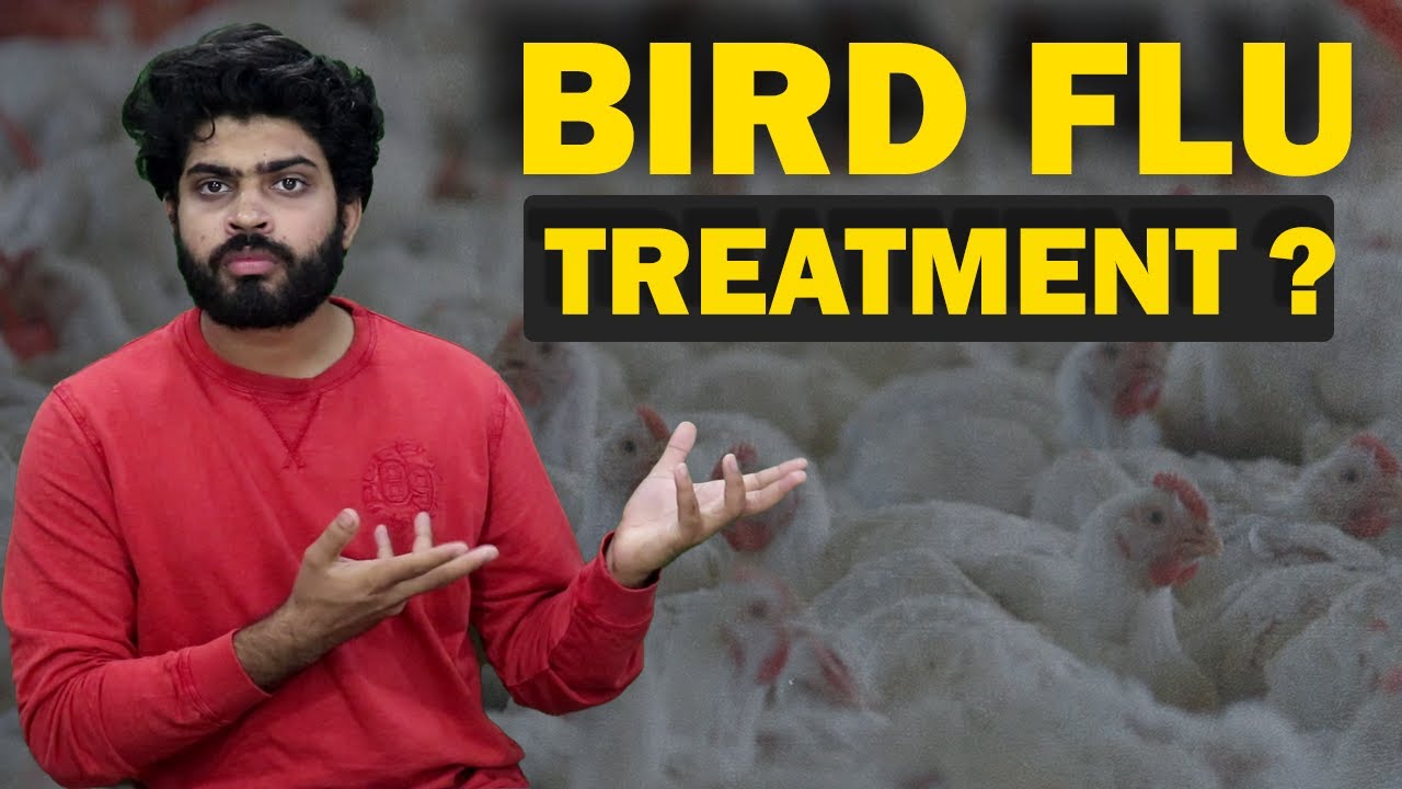 The Return of BIRD FLU in 2021H5NI Avian Influenza Bird Flu Causes