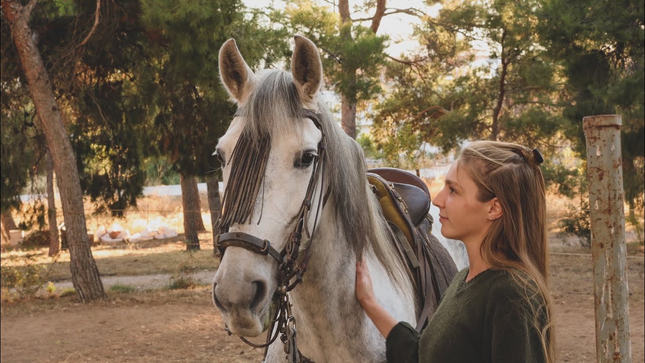 Día en la Vida - Plantando Frutales, Cata de Aceite, Preparándonos para un Viaje a Caballo