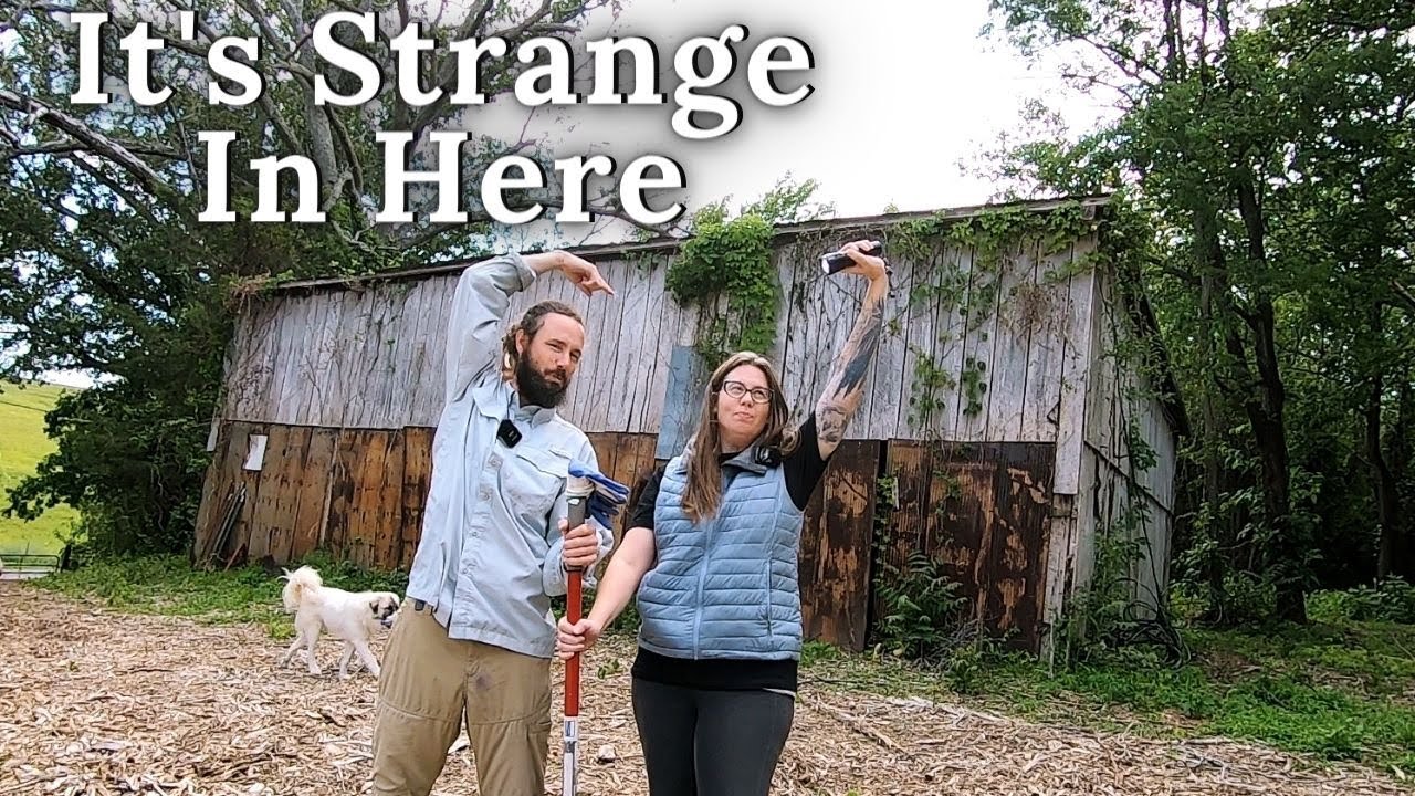 We Didn't Expect To Find That : Come Explore This Shed On Our Homestead