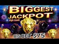 ⚠️Omg!! My BIGGEST JACKPOT on Big Bet $75 in Buffalo Gold Collection Slot | High Limit