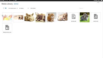 WordPress How To Video media library media library how to use wordpress video