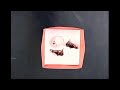 HOW TO MAKE PAPER BOX | DIY Origami Box #diycrafts #craftideas #papercrafting
