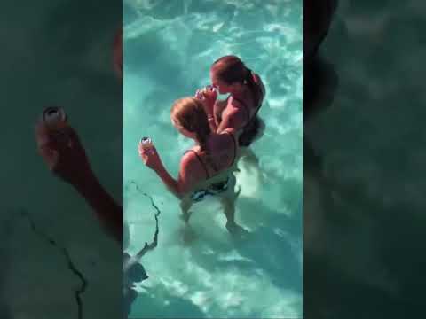 El Cielo Sandbar - Cozumel's Starfish Sanctuary