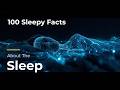 100 Sleepy Facts About Sleep — Relaxing Science to Fall Asleep To