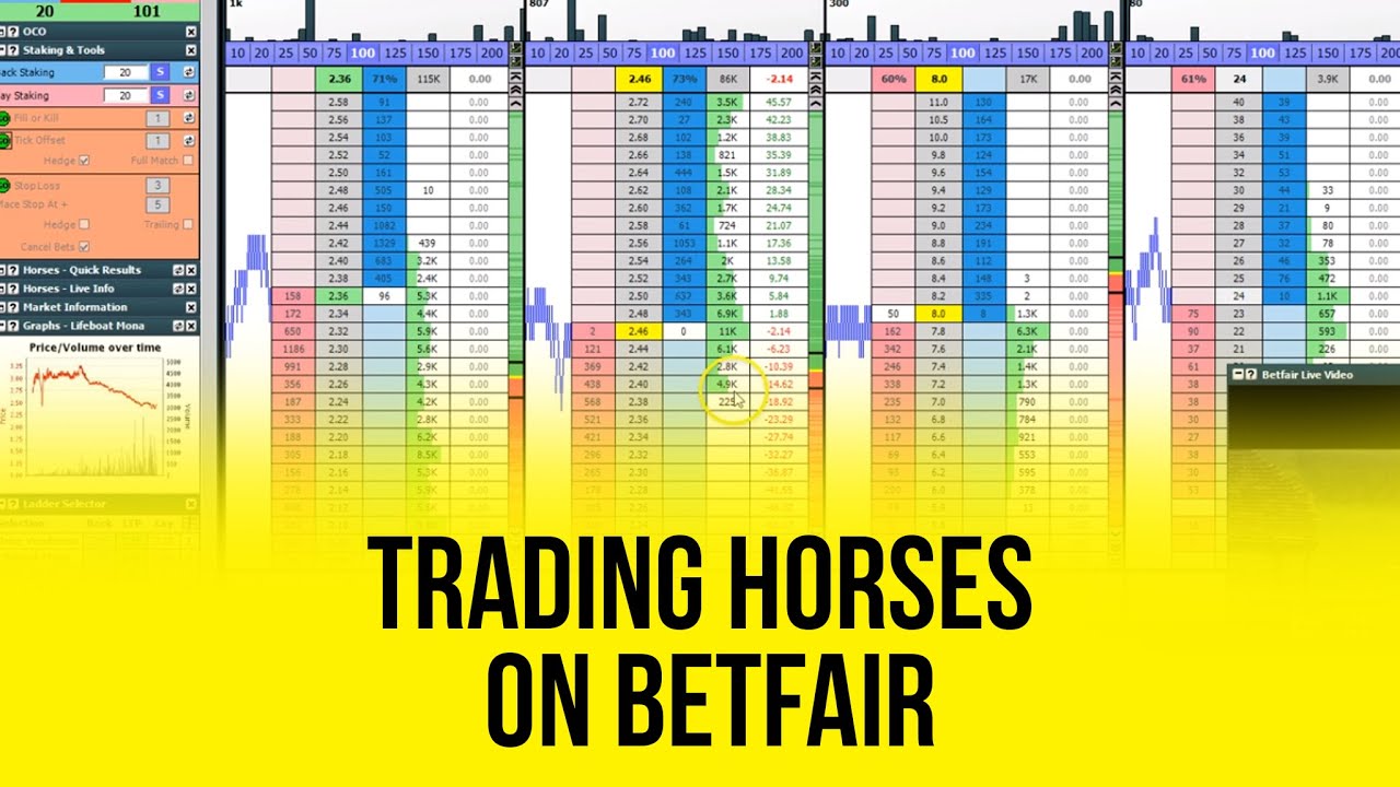 Trading Horses On Betfair YouTube