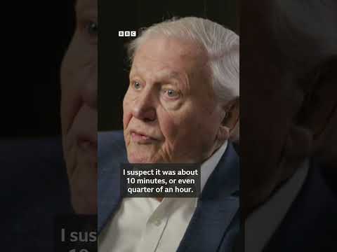 David Attenborough on unforgettable gorilla encounter in Rwanda - BBC Africa