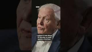 David Attenborough on unforgettable gorilla encounter in Rwanda - BBC Africa
