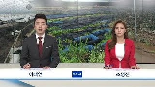 [2020년8월11일] NEWS 24