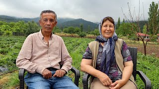 Köyceğiz'den Kaz Dağları'na bir göç hikayesi  'Koah hastasıydım, burada iyileştim'