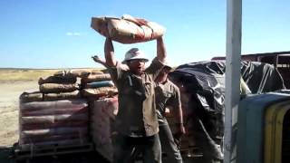 Fail Compilation November 2012 [HD]