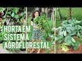 NOSSA HORTA NO INTERIOR - sistema agroflorestal