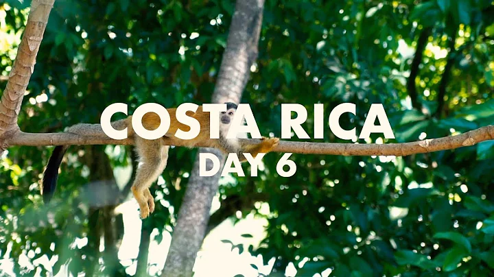 Costa Rica - Day 6