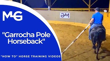 Garrocha Pole Horseback | The Horse Guru - Michael Gascon