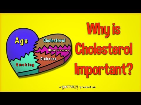 Why is cholesterol important?