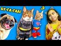 КОТЫ СУПЕР-ГЕРОИ 2 ЛУЧШИЙ НЕ ЗАСМЕЙСЯ ЧЕЛЛЕНДЖ с КОТАМИ! Попробуй не засмеяться Валеришка на психику