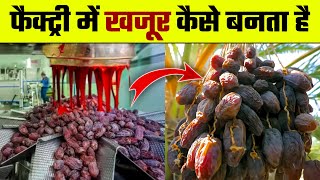 फैक्ट्री में खजूर कैसे बनता है | Khajur Kaise Banta hai | How Dates are Made in Factory | Dates screenshot 5