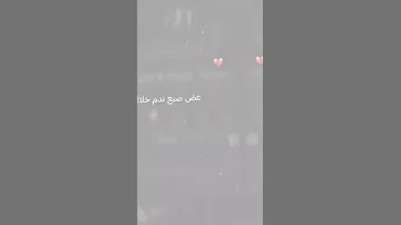 مو تدري الكلب يهواك ستوريات انستا 