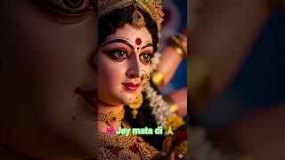 #photography, #gaming, #art, #music, #reading, #plants