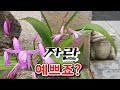 여보게~고개를좀숙여보시게