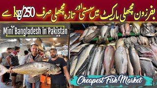 Bufferzone Seafresh Bufferzone Fish Market Buffer Zone Fish Market Karachi Sea Food Pakistan