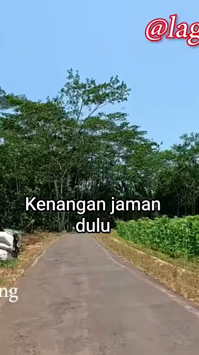 lagu mandarin Indonesia kenangan #lagumandarin #lagumandarinpopuler #popmandarin