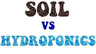 Soil vs Hydro Part 2: hydroponic system types