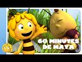 60 minutes de MAYA L'ABEILLE