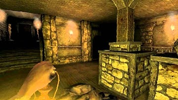 Amnesia: Custom Story - Can