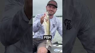Aqua Camo Braid 🌊 Sick of Backlashes? Watch This 🤯 #reactiontackle #fishing