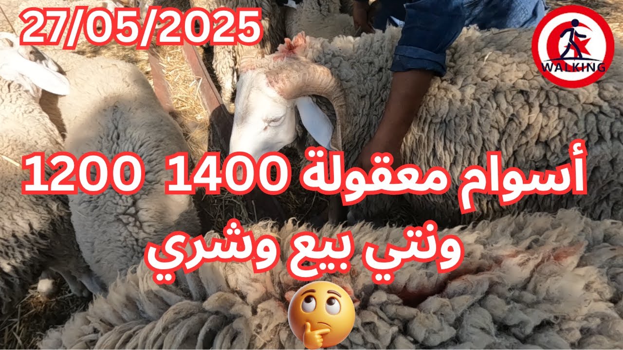 فوشانة محمدية أسعار قريبة للمعقول انتم شنوا رايكم