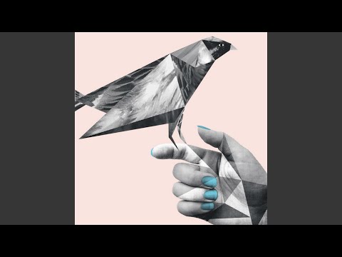 YouTube에서 I Never Ate That Bird 보기