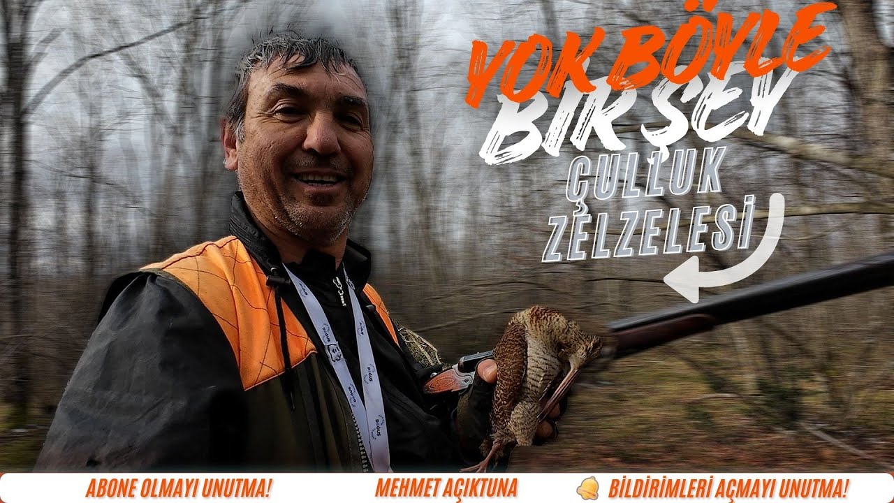 İğneada'da Çulluk avı #çulluk #woodcockhunting #çullukavı #woodcock ...