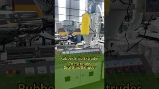 Co extrusion Seal Strip Extruder