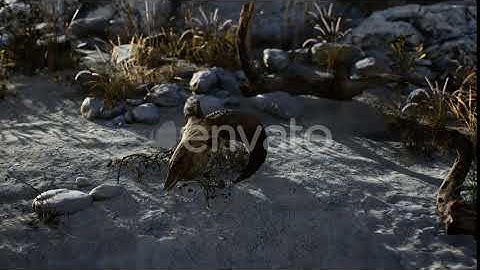 Skull of a Dead Ram in the Desert | Motion Graphics - Envato elements