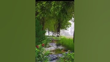 قُلْ أَعُوذُ بِرَبِّ الْفَلَقِ 💚⚘️سورة الفلق بصوت جميل جدا حالات واتس اب قرآن كريم 🌷 Quran