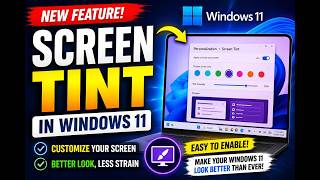 Windows 11 s New Screen Tint Feature is Amazing Here s How to Use It