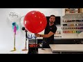 Q Corner special. 3ft balloons set from an Ikea Not Lamp
