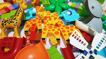 Satisfying Building Blocks Marble Run ASMR - Block Coaster - Giraffe and Whale Jaw