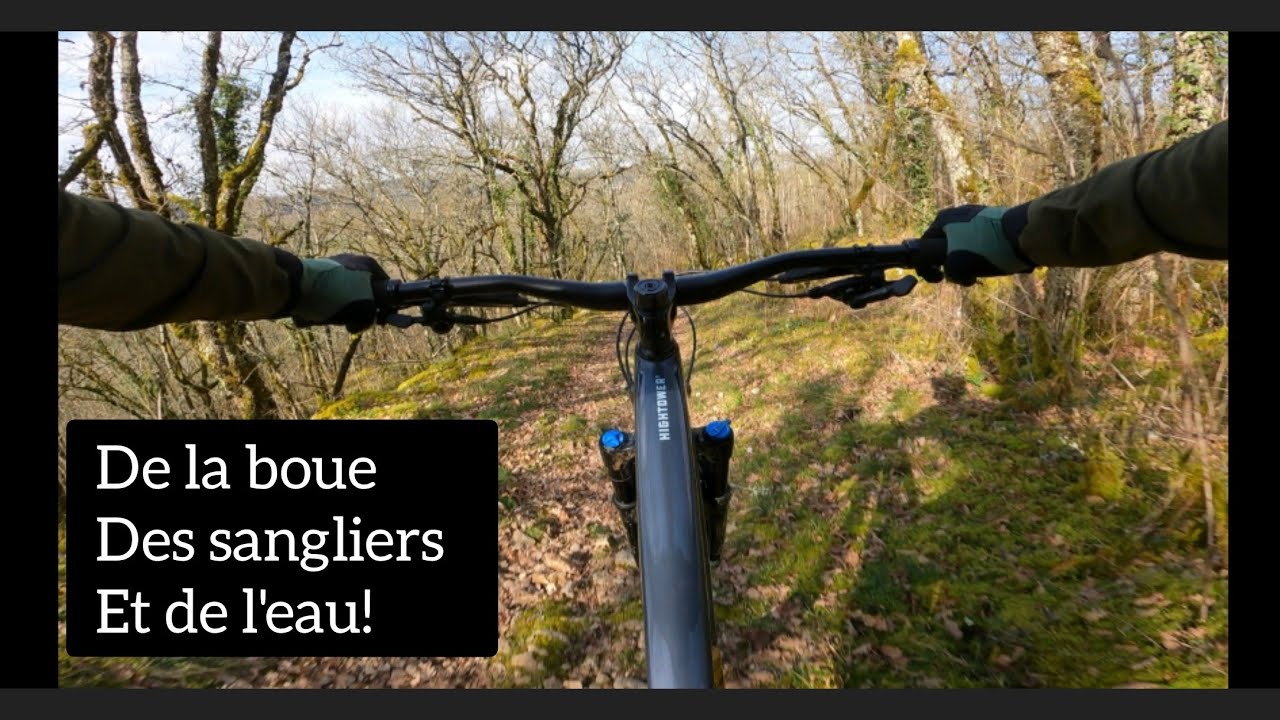 Floirac par le GR et rencontre avec 3 sangliers 🐗🐗🐗