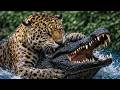 WILD AMAZON | Untold Survival Battles in the Rainforest’s Deepest Jungle | Animal Documentary