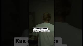 Как создаются гробы для кошек? Мосгоркошгроб / Здесь Настоящие Люди